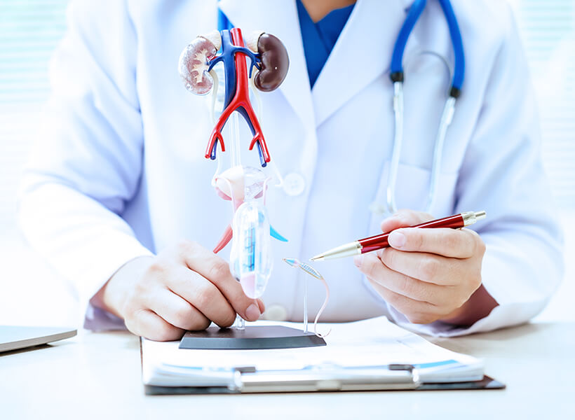 泌尿器科（保険）